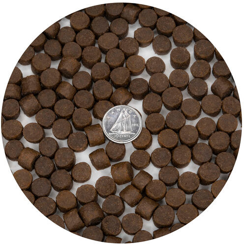 Sample 30/25