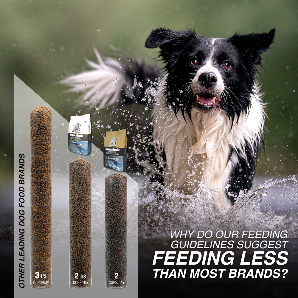 Inukshuk Marine 26/16 | Fish-Based Dog Food for Sensitive Dogs ...
